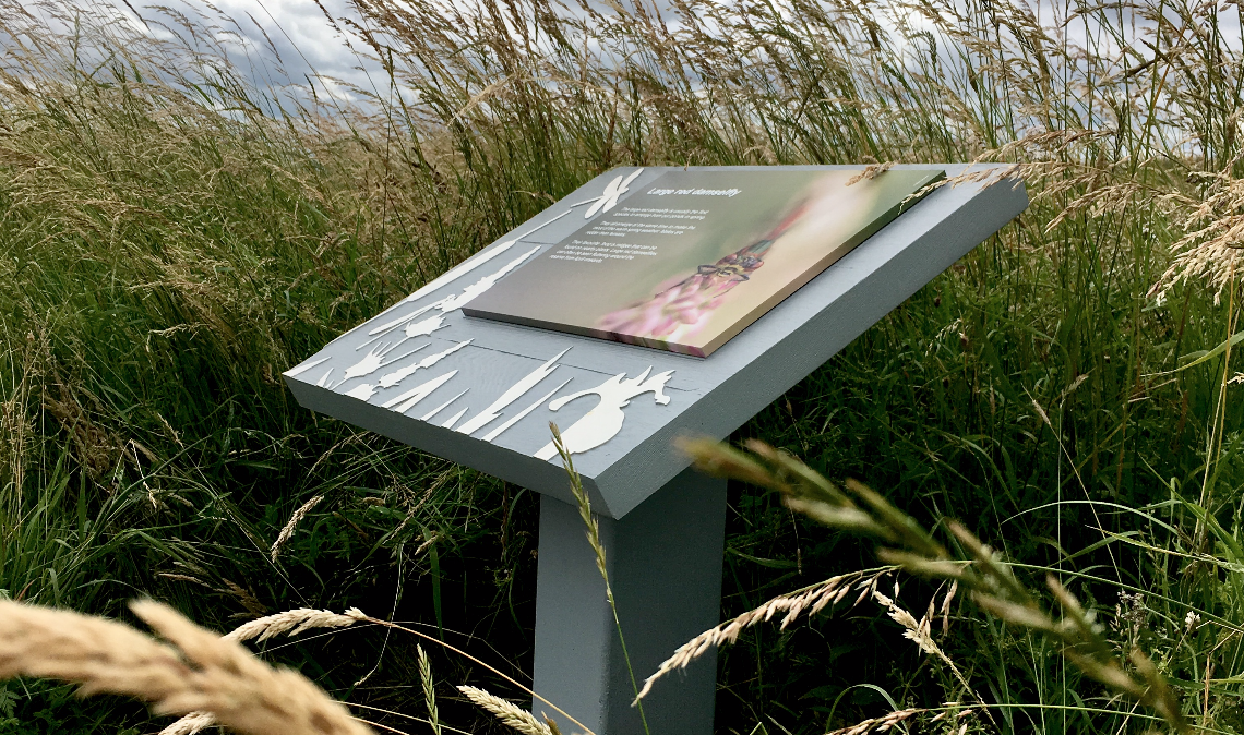 RSPB dragonfly trail